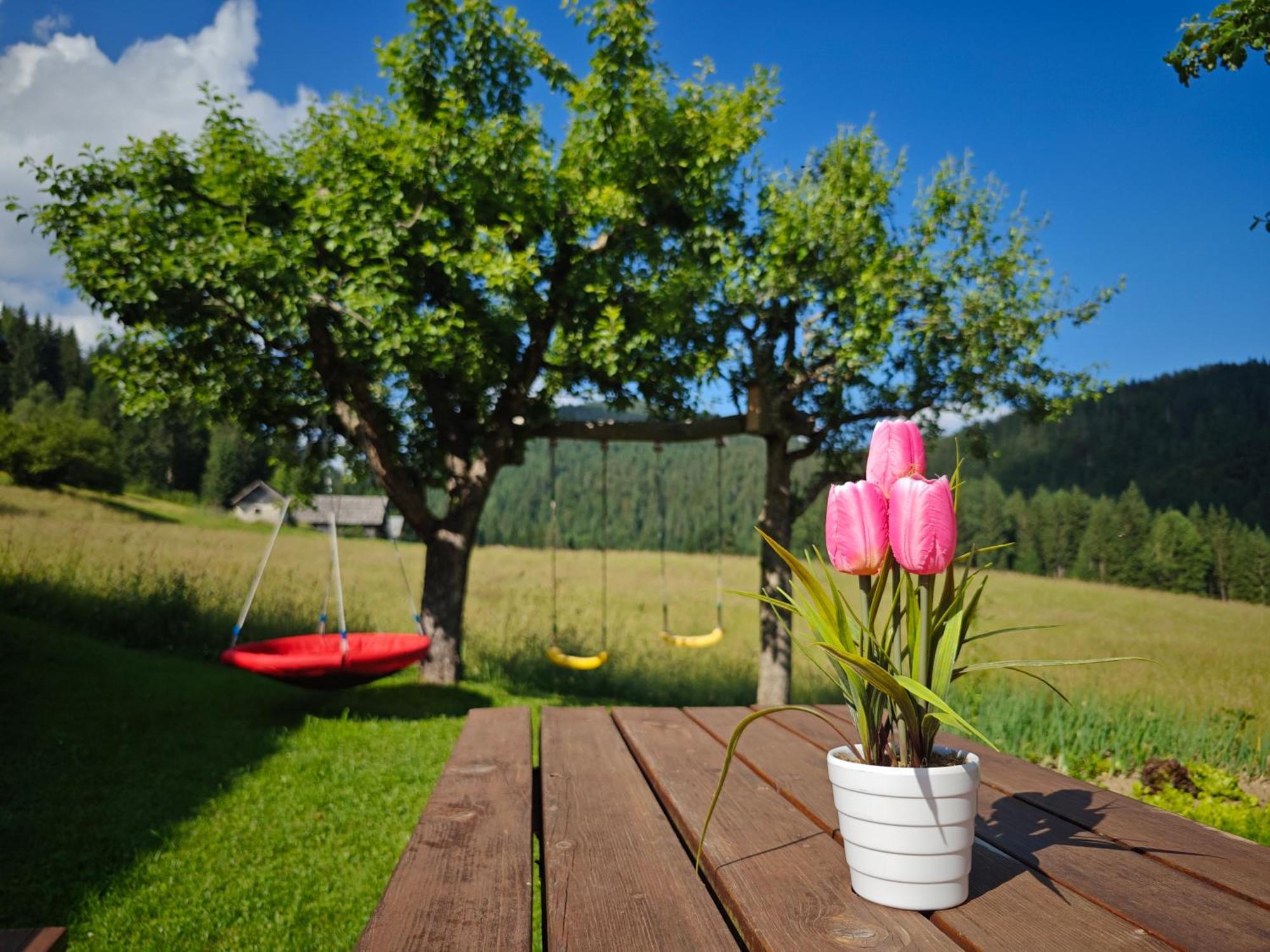 Cottage Zoja Бохиньска-Быстрица Экстерьер фото